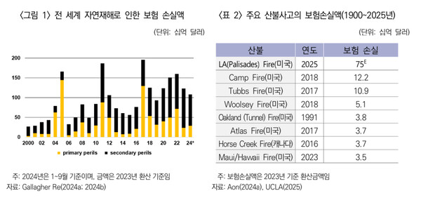 보험연구원 제공.