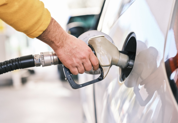 픽사베이 제공.