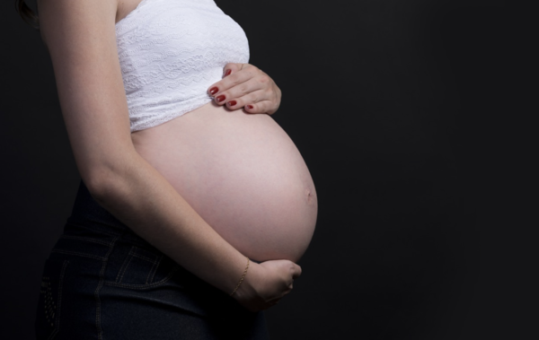 픽사베이 제공.