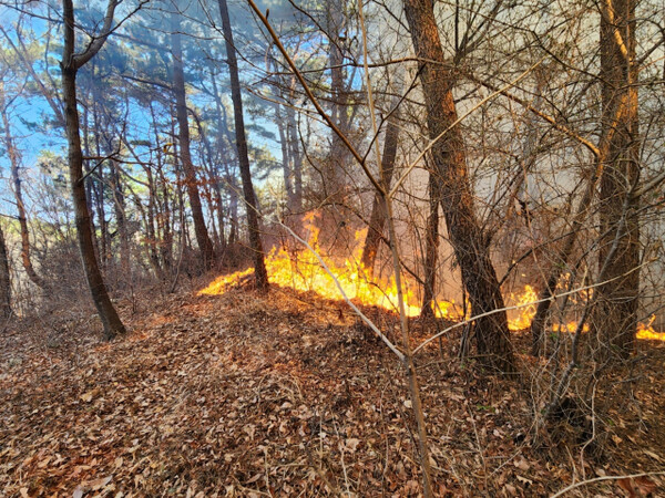 부산 강서구 가덕도 구곡산에서 발생한 산불. 부산소방재난본부 제공