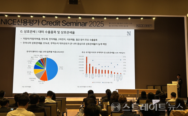 박세영 나이스신용평가 기업평가1실장.