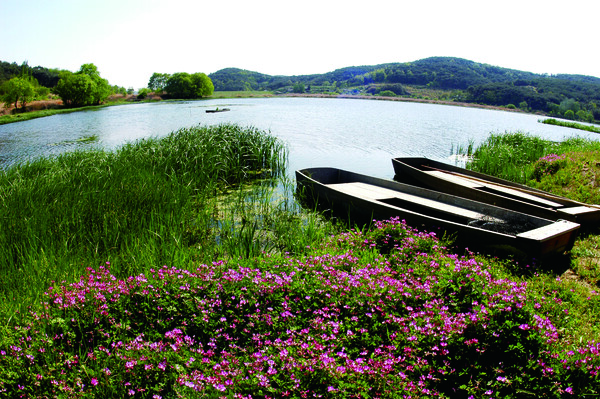 창녕군 우포늪 전경. 창녕군 제공