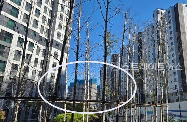 경기도 의왕에서 LH가 개발한 고천택지개발지구에서 분양 중인 '제잂풍경채 의왕고천' 본청약 후분양 건설현장. 대방디에트르와 e편한세상에 비해 인동선 의왕시청역에 초역세권이다. (스트레이트뉴스 DB)