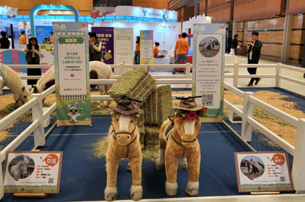 24년도 어린이박람회 말산업관 현장