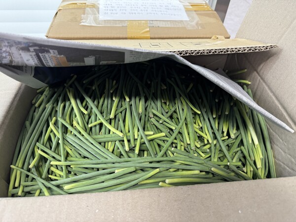 '어려운 이웃에 써달라'며 익명의 귀농인이 함평군 해보면사무소 앞에 두고간 마늘종과 손편지.사진/함평군