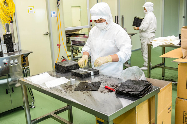 목포시가 지난해 대한민국 김 수출액 9억 9,700만 달러(약 1조 3천억 원)를 기록하며 2년 연속 '김 수출 1조 원 시대'를 열었다.사진/목포시