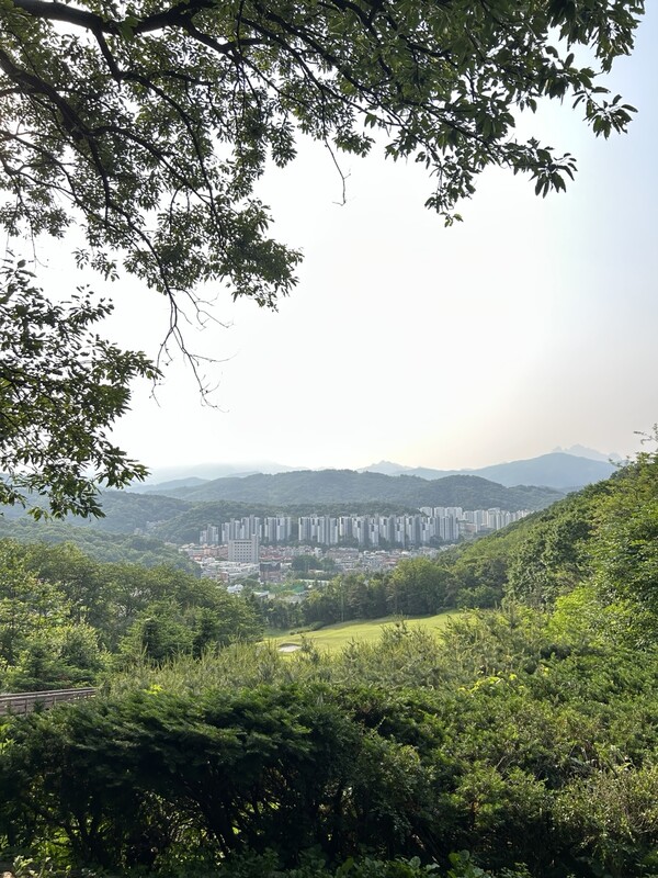 지난 5월 31일 경기도 내 한 골프장 모습. 촬영 장석진 기자.