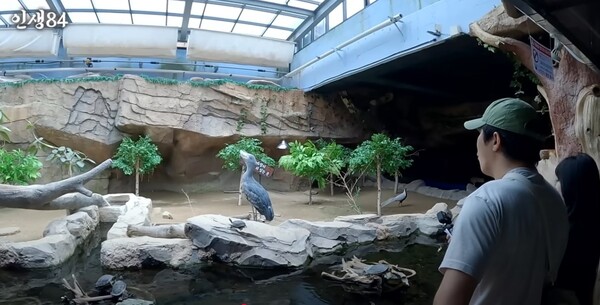 사천아쿠아리움에서 슈빌을 바라보는 기안84와 봉지은. 실제 체험 장면이 생생하게 담겼다. ⓒ인생84 유튜브 캡처