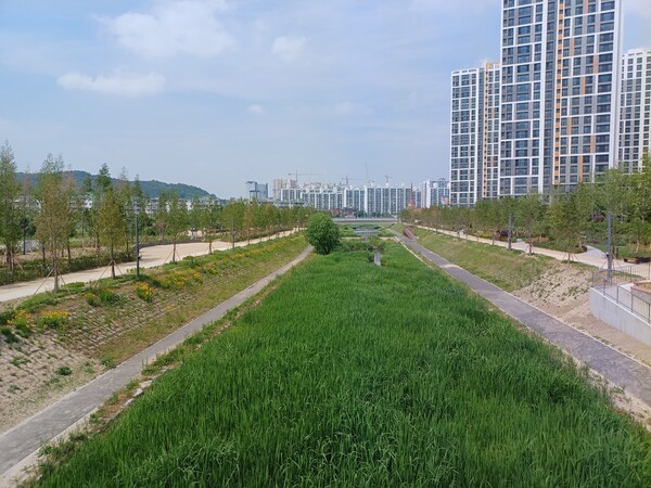 ‘안성 아양지구 영무예다음’ 단지 인근 아양교에서 바라본 금석천 산책로. 김태현 기자