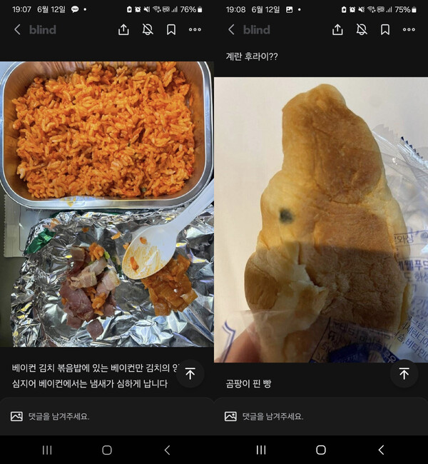 진에어가 승무원에게 제공했다고 A씨가 주장한 기내식. 빵에 곰팡이가 발생했다. 블라인드 캡처