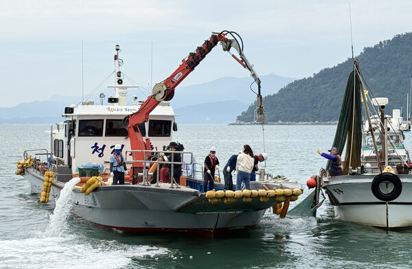 해파리 재난훈련.사진/전남도