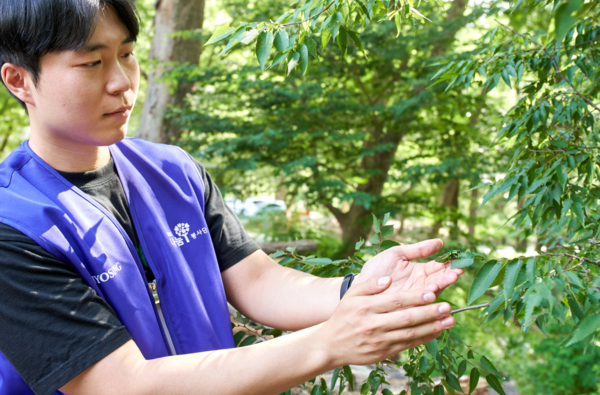 효성그룹 임직원이 인공증식에 성공한 비단벌레를 자연에 방사하고 있다. 효성그룹 제공