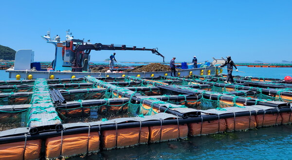 완도 보길도 전복양식장.사진/전남도