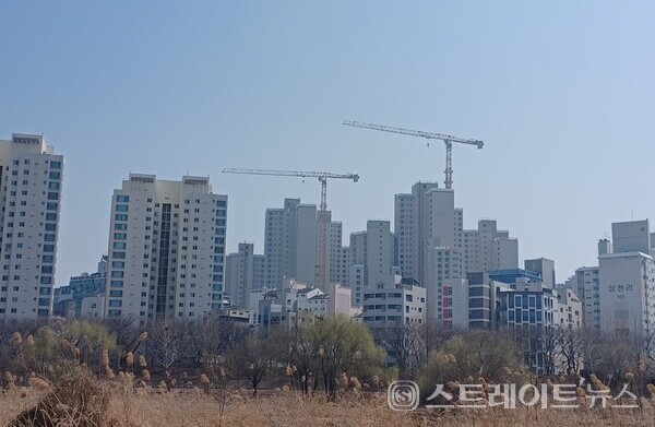 자료사진. 김태현 선임기자.