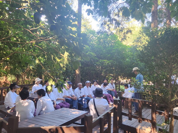 장흥통합의료병원에서 진행된 '마음치유 프로그램' 가운데 하나인 편백숲 산책.사진/고흥군