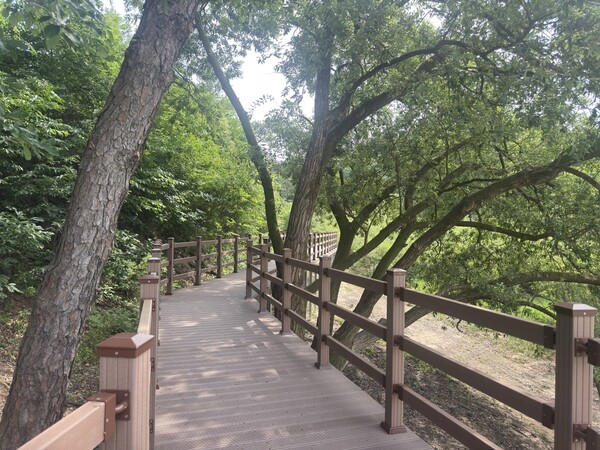 새롭게 조성된 신촌누리길 전경. 동구 제공.