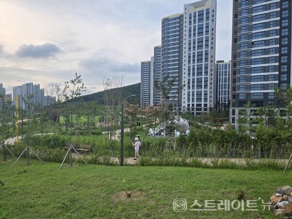 인천 서구 검단신도시에서 국민평형인 전용 84㎡형이 지구 처음으로 6억원을 돌파한  AA24블록의 '호수공원역 중흥S-클래스' 의 동편에 자리한 공원녹지. 우측 아파트는 '검단 금강펜테리움 3차'다. 청약홈은 14일 이 단지 특별공급 청약을 받는다. 김태현 기자