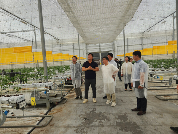 공공부문 백남성 부행장이 농업회사법인 팜팜(주)를 방문해 스마트팜 토마토 재배를 이야기하는 모습. 농협은행 제공.