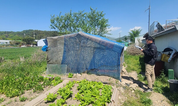 남구 관계자가 개발제한구역 내 무허가 토지 형질변경·무단 건축 행위 등 불법행위 여부를 조사하고 있다./남구