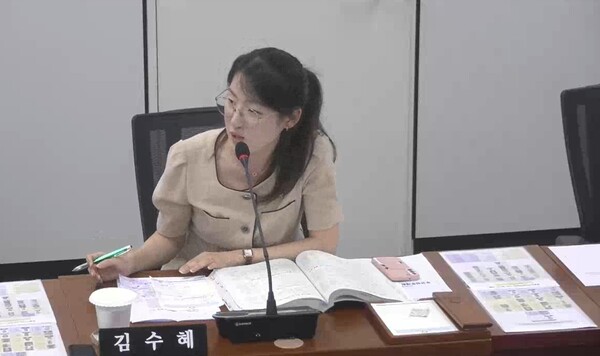 김수혜 창원시의원.