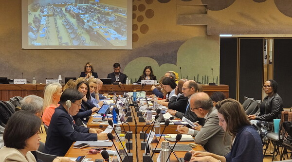광주시 대표단이 22일(현지 시간) 스위스 제네바 유엔 사무국에서 열린 국제인권회의에 참석해 '광주다움 통합돌봄' 등 인권정책 경험을 공유했다./광주시