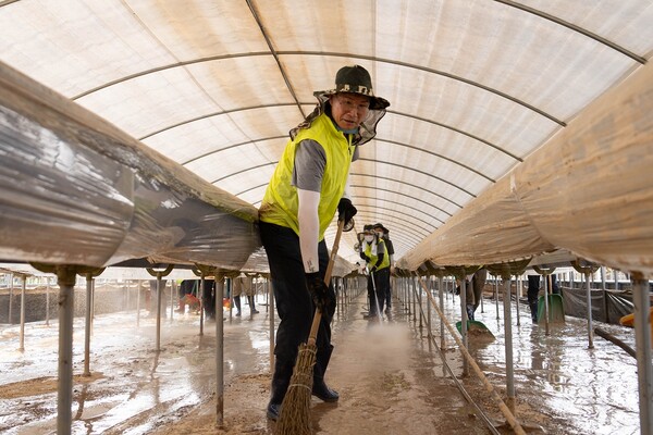 29일 충남 당진을 찾아 관내 농축협 임직원들과 함께 피해복구 중인 강태영 은행장. NH농협은행 제공.