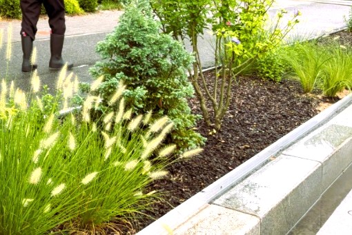 경북 상주시가 도심 곳곳에 조성한 ‘기후대응형 빗물정원’이 집중호우대응 침수 예방과 빗물 저류에 탁월한 효과가 있었다.(상주시청 옆 빗물정원=상주시)