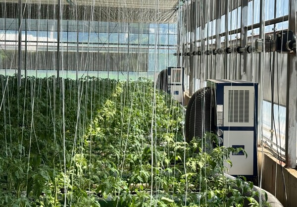 폭염대응 냉방기.사진/전남도