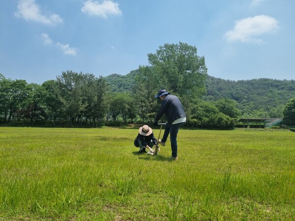 광주보건환경연구원 조사원들이 파크골프장 내 잔류 농약 안전성 조사를 위해 현장에서 시료를 채취하고 있다./광주시