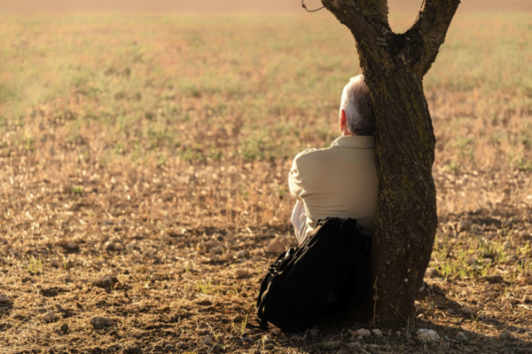 픽사베이 제공.