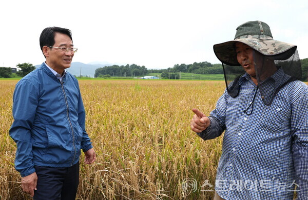 강진원 군수(왼쪽 첫번째)가 지난 20일 병영면 조생종 벼 수확현장을 찾아 농업인들을 격려하고 애로사항을 청취하고 있다. 강진군