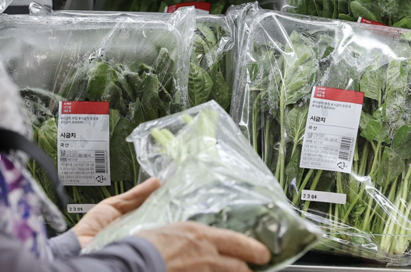 연합뉴스 제공.