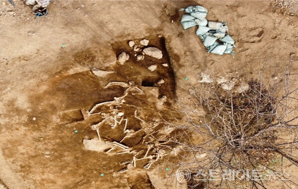 광양매티재 유해발굴 현장. 여순사건위원회