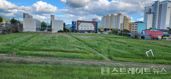 전남형 만원주택이 들어설 호계리 사업부지. 강진군