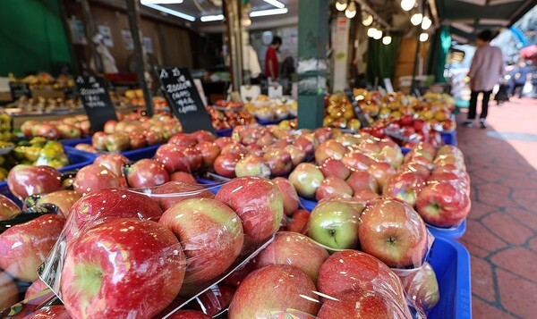 자료사진. 연합뉴스. 