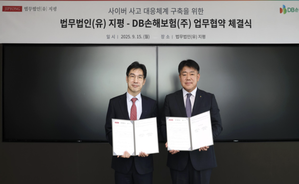 DB손해보험 제공.