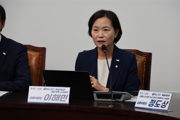조국혁신당 이해민 의원. 조국혁신당 제공. 