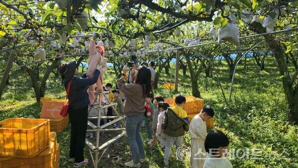 에코왕곡마을-배따기체험. 전남도