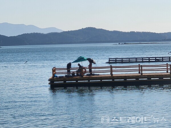 '빛으로 물든 섬'으로 리뉴얼된 가우도에서 방문객들이 야간관광을 배경으로 기념사진을 찍으며 즐거운 시간을 보내고 있다. 강진군