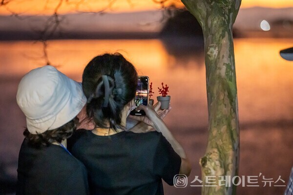 '갯벌단풍 여행 in 남파랑길' 참가자들이 해 질 녘, 붉게 물든 칠면초 군락지와 노을이 어우러진 순천만 와온해변 앞에서 사진촬영을 하고 있다. 순천시