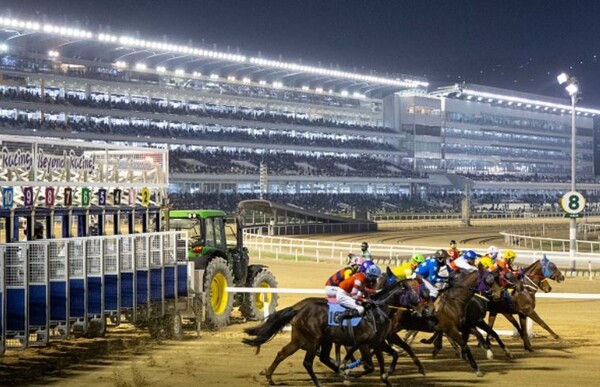 자료 사진. 한국마사회 제공. 
