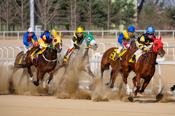 자료사진. 연합뉴스. 