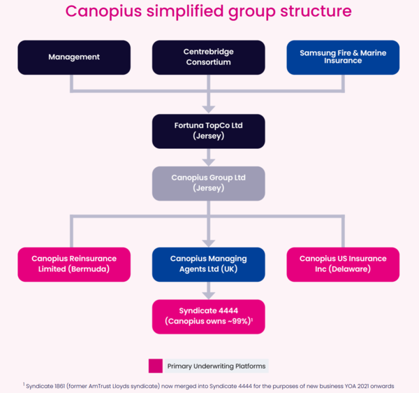 삼성화재가 2대주주로 올라선 캐노피우스(Canopius) 구조도. 캐노피우스 홈페이지 캡처.