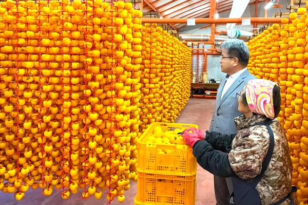 이현균 상주 외남면장이 가을철 곶감 생산이 본격적으로 시작됨에 따라 곶감 농가를 방문해 작업 현장을 둘러보며 농민의 애로사항을 청취하고 소통하는 시간을 가졌다.(사진=외남면)