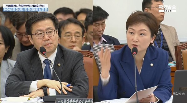 더불어민주당 이언주 의원이 11일 국회 산업통상자원중소벤처기업위원회 전체회의에서  여한구 통상교섭본부장에게 질의하고 있다. 국회방송(캡처). 