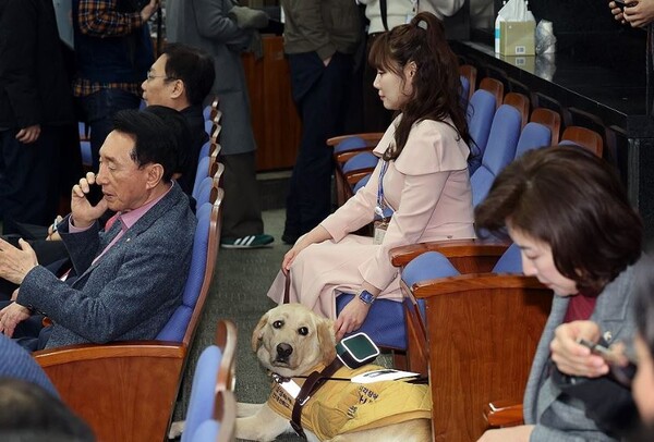 지난 2월 국민의힘 의원총회에 안내견과 함께 참석한 김예지 의원. 연합뉴스.  