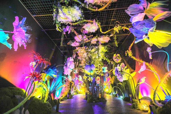 APEC 정상회의 개최 이후 경주와 보문관광단지를 찾는 관광객이 눈에 띄게 증가하고 있다고 경북문화관광공사가 23일 밝혔다.(코스믹리조트 아트센터=경북문화관광공사)