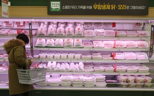 공정위, 닭고기 이어 오리고기 담합 제재.. 9곳 60억대 과징금 - 뉴스 썸네일 이미지