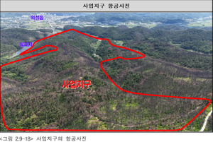 산불로 잿더미 된 산에 '태양광' 박겠다는 의성군..."환경영향평가 우롱... - 뉴스 썸네일 이미지