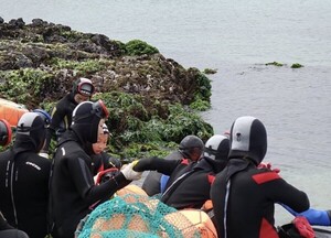 제주 해녀 고령화 가속... 70세이상 63% 차지 - 뉴스 썸네일 이미지
